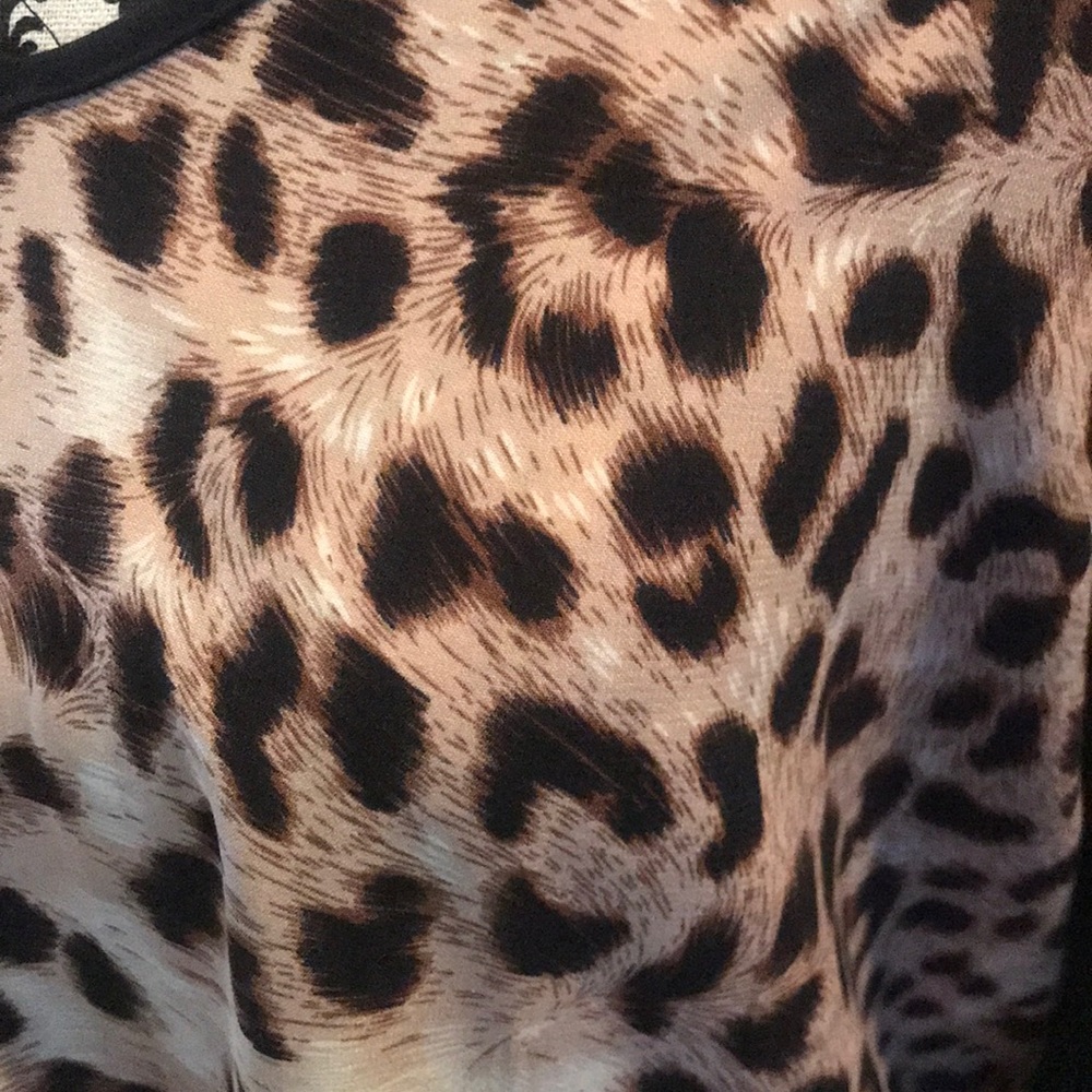 High/Low Leopard Top - Picture 2 of 3
